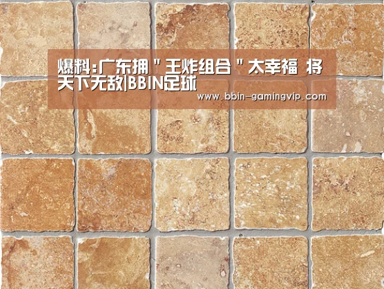 BBIN篮球