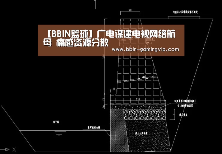 【BBIN篮球】广电谋建电视网络航母 痛感资源分散(图2) BBIN体育