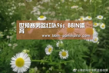 BBIN体育