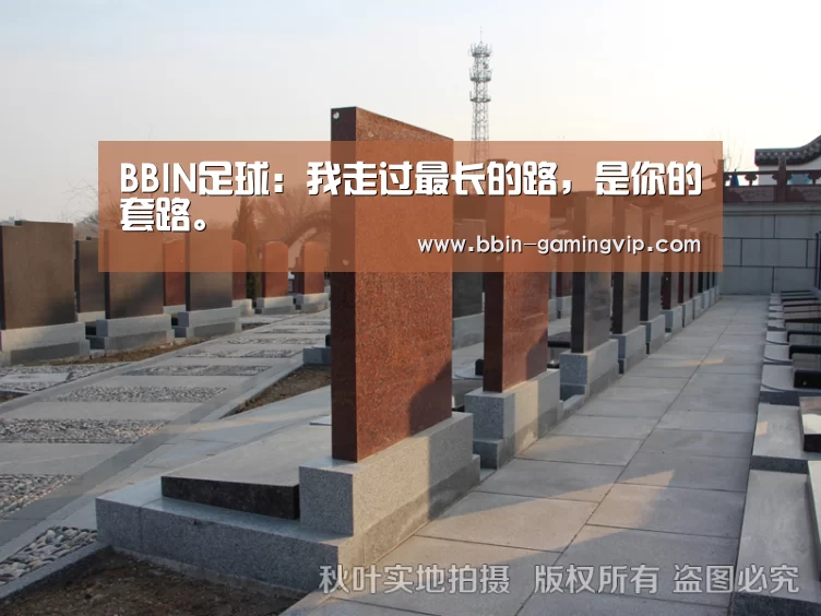 BBIN足球