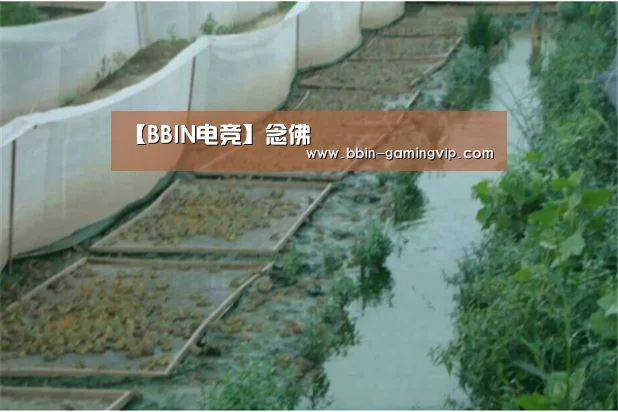【BBIN电竞】念佛(图2) BBIN电竞